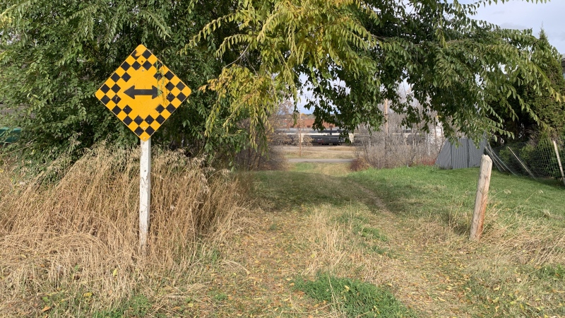 Forensic investigators searched for evidence after human remains were found near 19th Street East in Prince Albert on Wednesday, Oct. 17, 2024. (Jasmine Pelletier / CTV News)