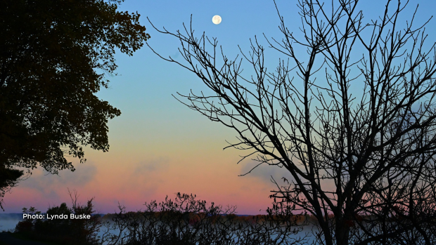 Super moon still looking nice this morning, the sky was pinkened by sun rising in the east. (Lynda Buske/CTV Viewer)