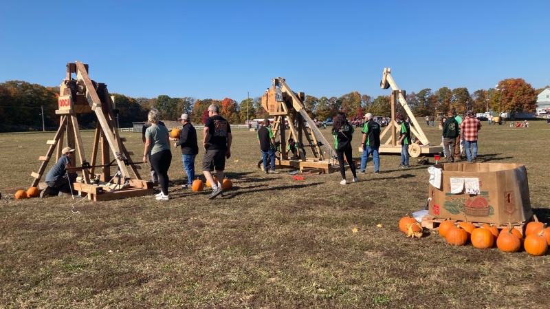 Trebuchets at the pumpkin chunking competition at ODAS Park in Severn, Ont., on Sat., Oct. 19, 2024 (CTV News/Chris Garry)