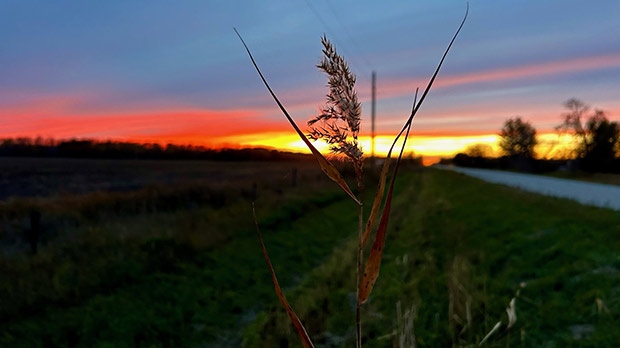 Sunset in St. Claude. Photo by Charles Green.