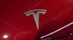 The logo of Tesla car is pictured at the Paris Auto Show, in Paris, Monday, Oct. 14, 2024. (AP Photo/Michel Euler)
