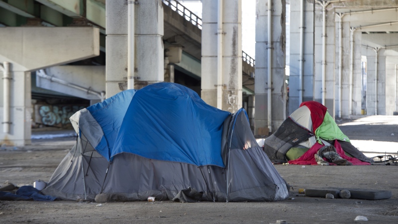 Tents sit below the Gardiner Expressway in Toronto on Wednesday January 16, 2019. THE CANADIAN PRESS/Frank Gunn 