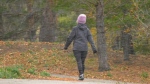 Regina's brief snowfall did not stop some people from walking along Wascana Lake on Tuesday. (CTV News)