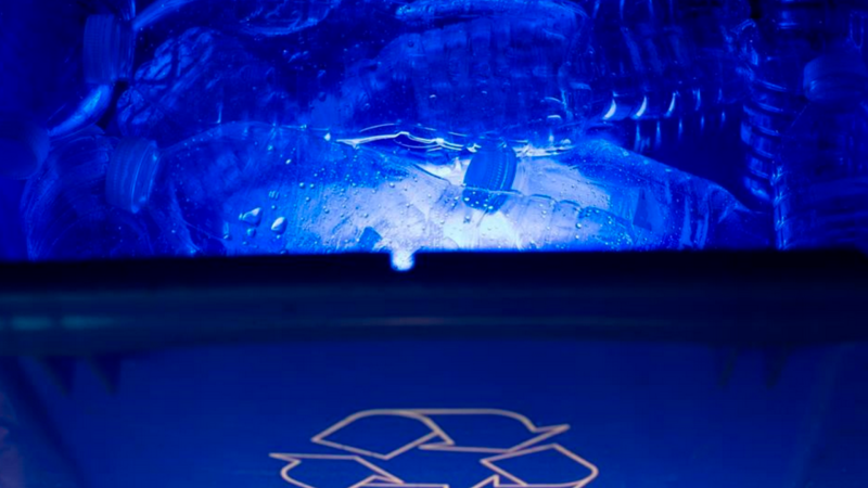 Plastic water bottles are pictured in a blue box recycle bin in North Vancouver, B.C., Tue., May 7, 2019. THE CANADIAN PRESS/Jonathan Hayward 