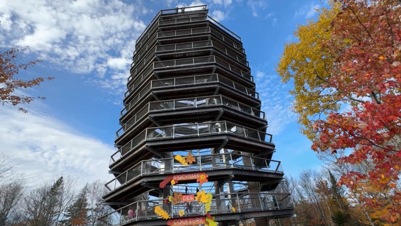 Nature lovers and adventure seekers can experience the beauty of the Laurentian Forest from the treetops at Sentier des Cimes, a scenic elevated walkway and 12-storey tower, that offers a birds-eye panoramic view of the region. Oct. 22, 2024. Mont-Blanc, Qye. (Tyler Fleming / CTV News Ottawa).