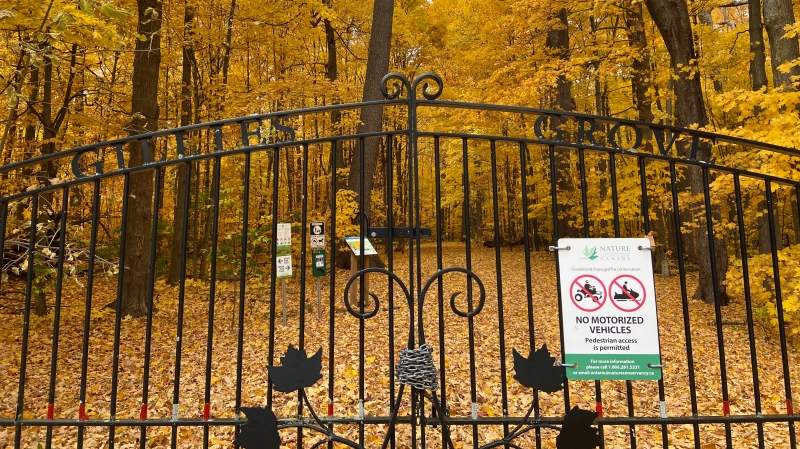 A photo showing the entrance of the Gillies Grove old growth forest in Arnprior. October, 23, 2024. (Dylan Dyson/ CTV News Ottawa)