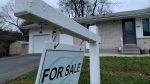 Real estate signage is shown in Oakville, Ont., west of Toronto, on Friday, Jan.12, 2024. THE CANADIAN PRESS/Richard Buchan