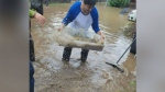 Man rescues salmon from street