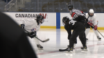 Players face off during an inaugural WJAHL game in St. John's, N.L. (Garrett Barry / CTV News)