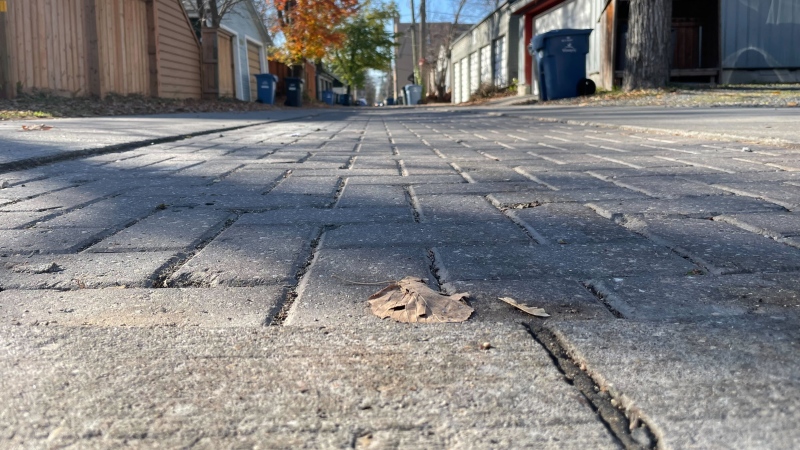 A green back lane is pictured along Dorchester Avenue in Winnipeg on October 28, 2024. A new report recommends the city not go forward with a green back lane pilot project in other areas of the city. (Jamie Dowsett/CTV News Winnipeg)