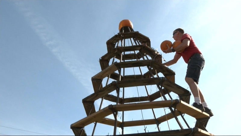 Pumpkin pyramid tradition returns 