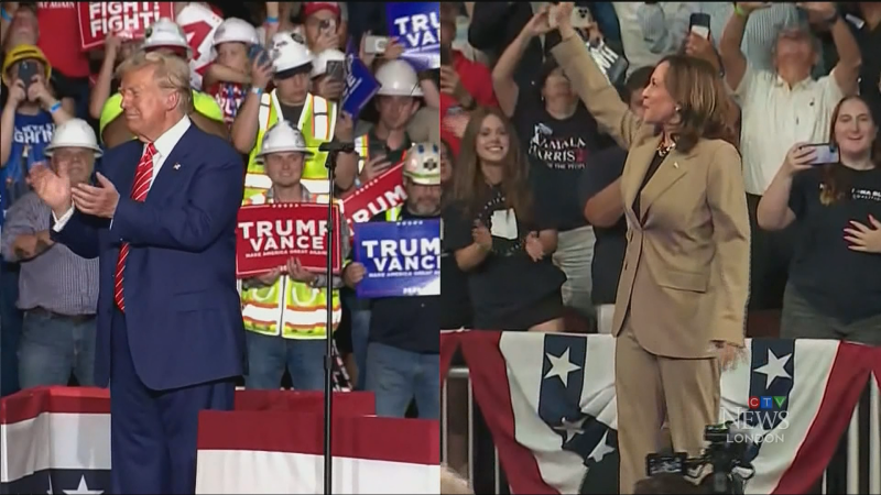 Donald Trump and Kamala Harris are seen in a split-screen image. (CTV News file image)