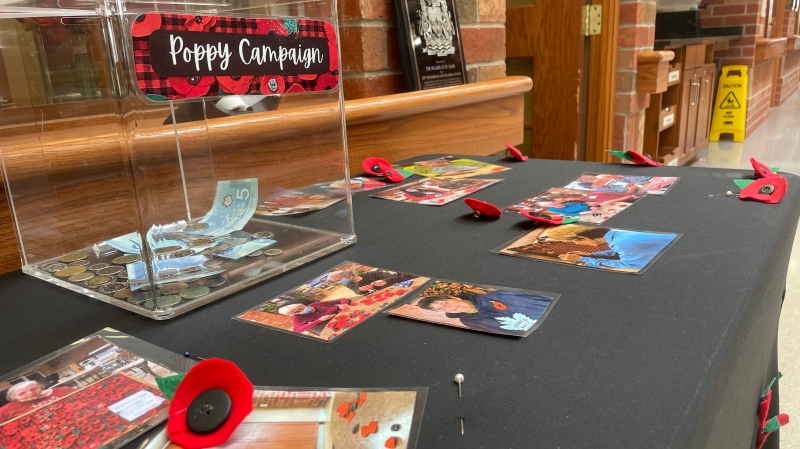 The Village at St. Clair is running a poppy campaign to raise money for the Royal Canadian Legion. (Michelle Maluske/CTV Windsor)