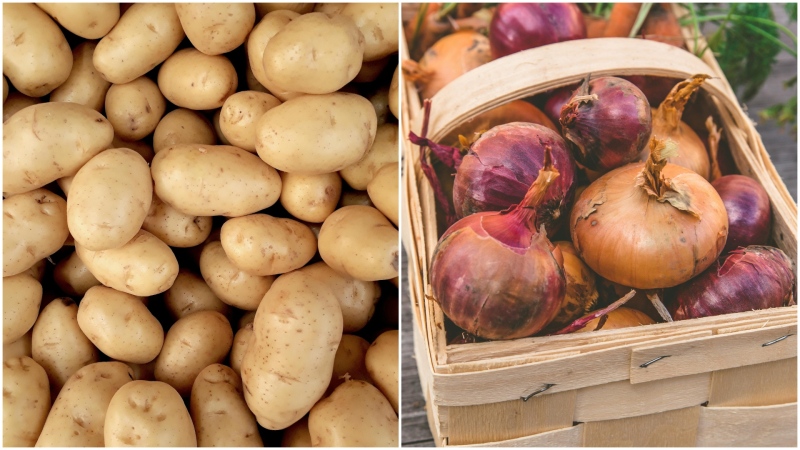 Some Calgary Redditorss say the parents of the trick-or-treaters were trying to convince their kids to pick an onion or potato when going door-to-door on Oct. 31, 2024. (Pexels)