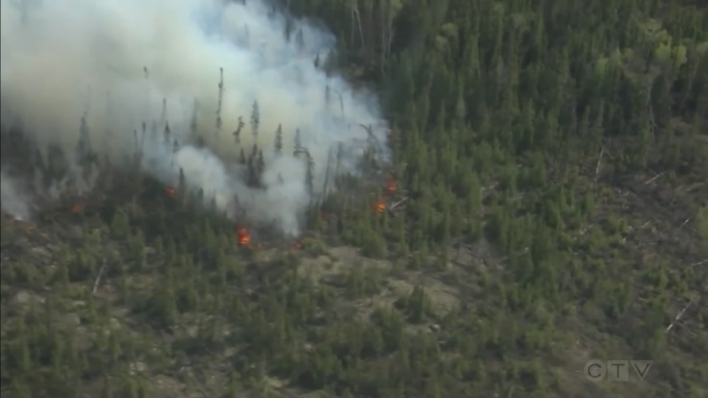 Northeast had half of Ontario wildfires this year