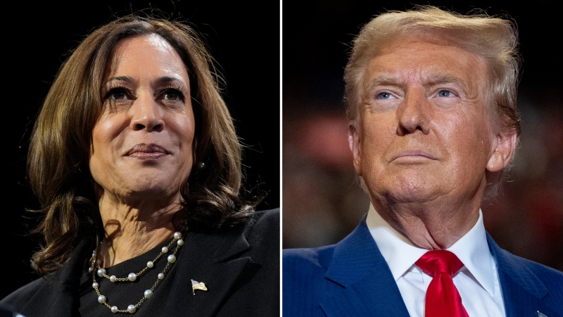 This combination of file photos shows Democratic presidential nominee Vice President Kamala Harris, left, speaking at a campaign rally Erie, Pa., on Oct. 14, 2024, and Republican presidential nominee former President Donald Trump speaking a campaign rally in Uniondale, N.Y., on Sept.18, 2024. (AP Photo)