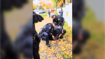 Video posted by the Lakshmi Narayan Mandir temple in Surrey, B.C., shows RCMP officers arresting a man on the ground. (Facebook/Lakshmi Narayan Mandir)