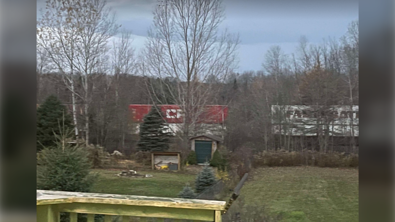 CP train stopped on the tracks in Craighurst, Tue., Nov. 5, 2024. (Submitted: R.J. Hensley) 