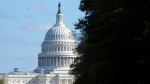 The U.S. Capitol is seen from Pennsylvania Avenue in Washington, on Election Day, Tuesday, Nov. 5, 2024. (AP Photo/Jon Elswick) 