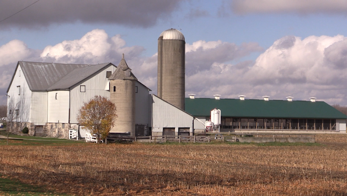 A farm on Perth County near Listowel, Ont. as seen on Nov. 6, 2024. (Scott Miller/CTV News)