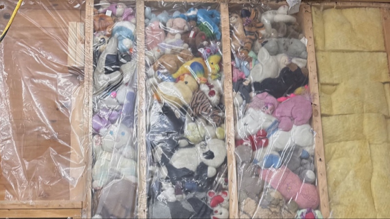 A B.C. man found stuffed animals instead of insulation behind the walls of his garage. 