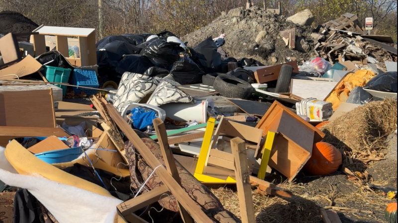 The large pile of discarded items along Old Innes Road includes black trash bags filled with food waste, tires, broken furniture, oil containers and industrial materials such as asphalt. Ottawa, Ont. Nov. 7, 2024. (Tyler Fleming / CTV News).