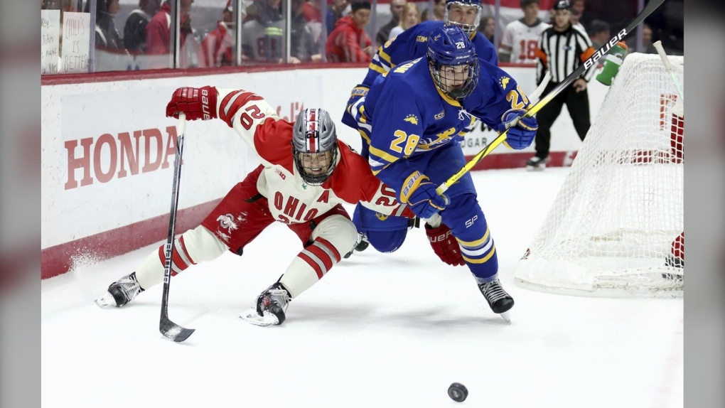 NCAA hockey game