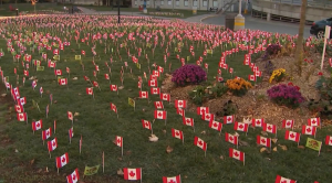 remembrance day flags