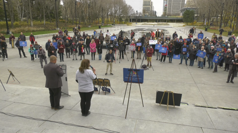 A small crowd gathered at the Alberta legislature to show their support for a trio of bills aimed at the province's transgender and non-binary population on Nov. 9, 2024. (Galen McDougall/CTV News Edmonton)