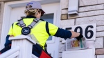 A Canada Post mail carrier delivers flyers in Montreal on Nov.13, 2024. (Christinne Muschi / The Canadian Press)