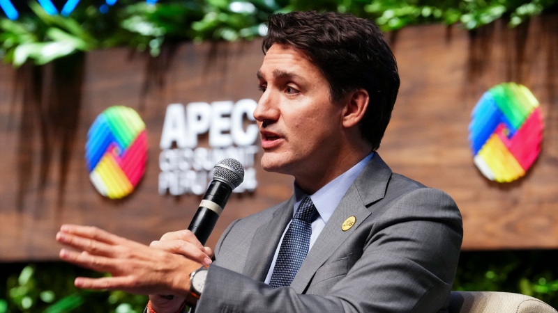 CTV National News: Trudeau at APEC