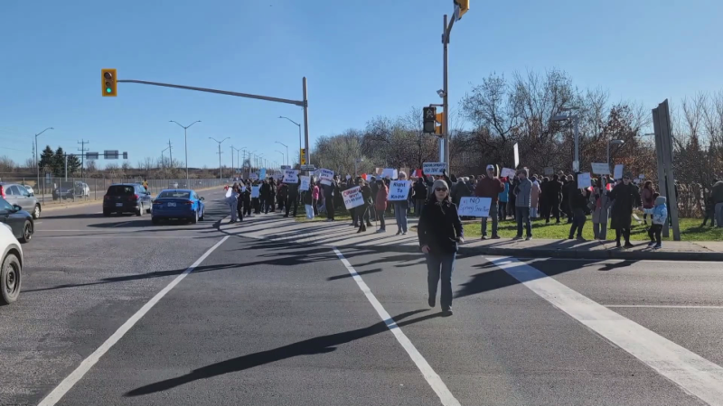 Protest against 'Sprung Structures' in Kanata.