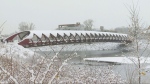 Snow in Calgary on Nov. 18, 2024. 