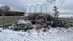 Snow is seen in Notre Dame de Lourdes, Man., on Nov. 17, 2024. A winter storm watch is in effect for much of west and southwest Manitoba. (Diane Simon) 