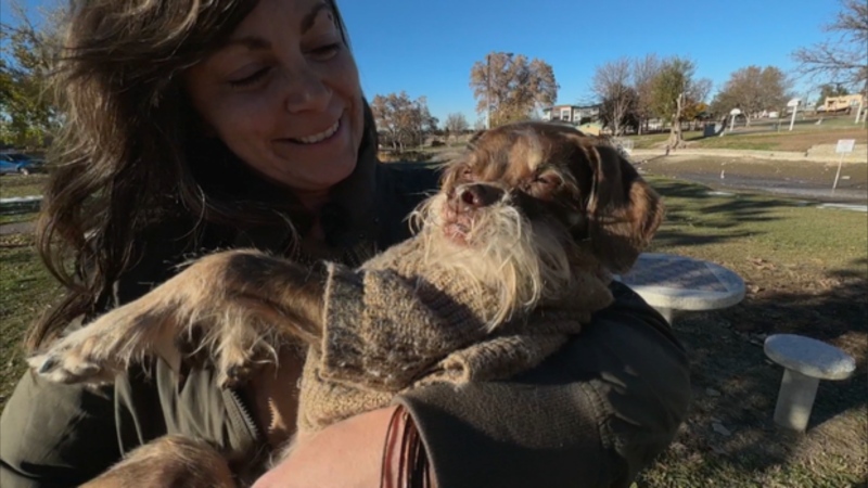  Colorado woman was shocked to find her dog's wheelchair missing from the porch Tuesday morning. (KCNC via CNN Newsource)