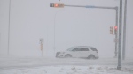 A wave of snow and high winds contributed to poor visibility and road conditions in Regina on Nov. 19, 2024. (David Prisciak/CTV News)