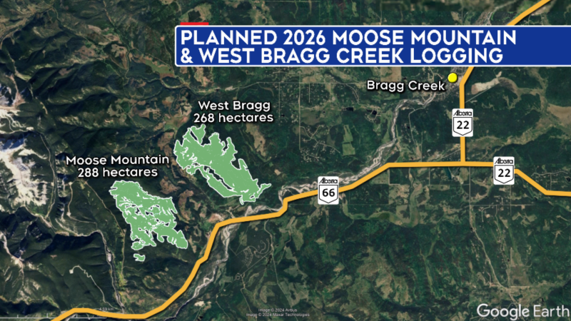 A map shows the areas planned for logging in the Moose Mountain and West Bragg Creek areas by West Fraser Timber. (CTV News) 