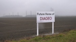 A sign announcing a Diageo plant remains on Moore Line in St. Clair Township, seen on Nov. 20, 2024. (Gerry Dewan/CTV News London)