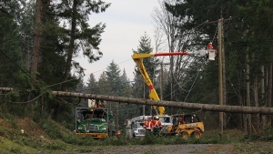 BC Hydro crews work to restore power in this image shared by the utility on Nov. 20, 2024. 