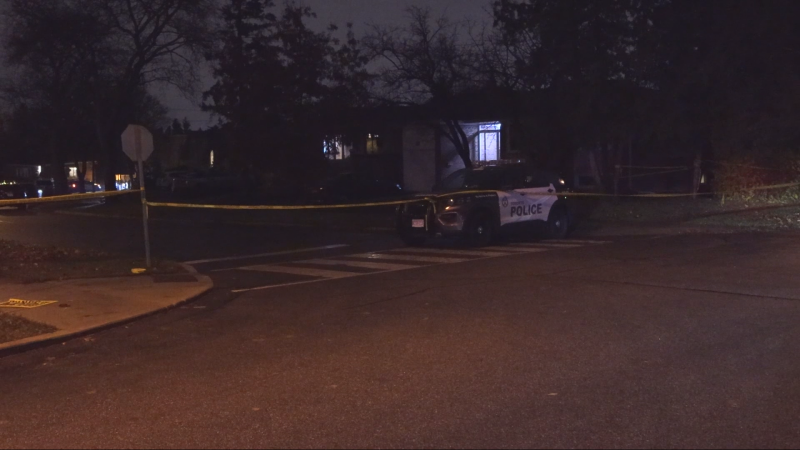 Toronto police are on the scene of a shooting in North York on Thursday, Nov. 21, 2024. (CTV Toronto)