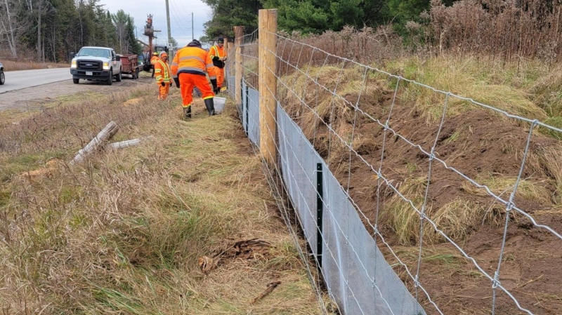 Crews install silt fencing along Huronia Road in Barrie, Ont., to protect wildlife as a major construction project gets underway. (Source: City of Barrie)