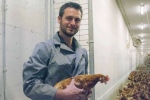 Mark Siemens from Abbotsford, B.C., pictured in this undated photo. Siemens says he had to cull his entire flock of about 45,000 birds after his farm fell victim to an outbreak of avian influenza earlier this month. THE CANADIAN PRESS/HO Mark Siemens