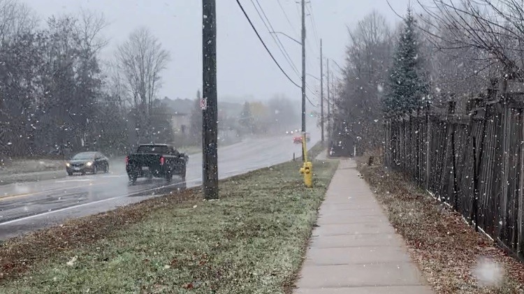 Snowfall in Barrie, Ont., on Sun., Nov. 24, 2024 (CTV News/David Sullivan)