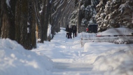 Regina residents woke up to considerable snowfall as the second winter storm of the season rolled into Regina on Nov. 24, 2024. (David Prisciak/CTV News)