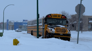 According to the city of Saskatoon, 20 centimetres of snow has fallen since Saturday. (Hayatullah Amanat/CTV News)