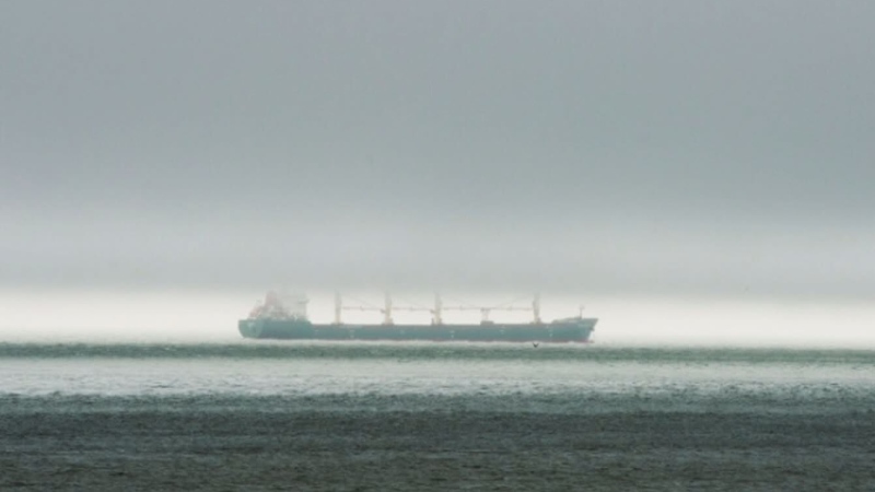 225-metre-long cargo ship stuck in St. Lawrence Ri