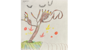 Noraiz, Grade 1, Westwind Public School
