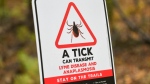 A sign advising hikers of Ticks is shown on a trail in the woods in the Eastern Townships west of Montreal, Wednesday, Oct. 16, 2024. (Graham Hughes / The Canadian Press)