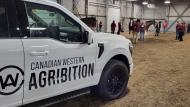 The 53rd edition of the Canadian Western Agribition kicked off on Nov. 25, 2024. (Jason Delesoy/CTV News)