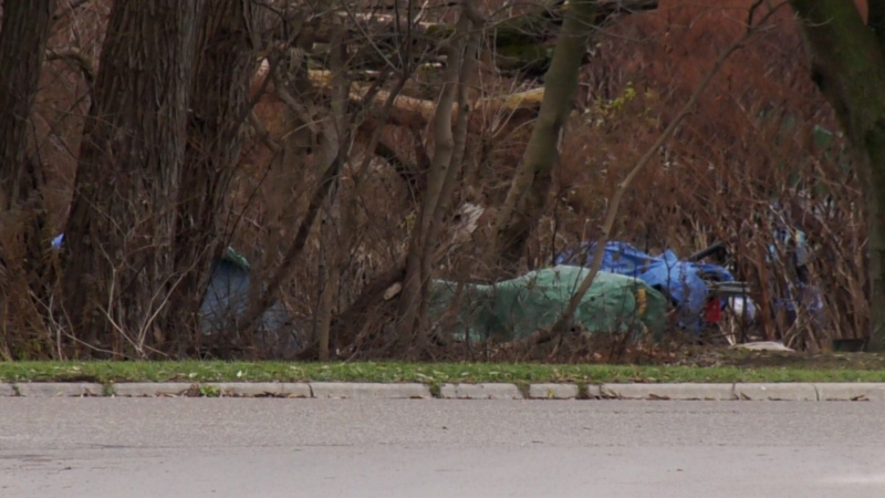 A homeless encampment in Woodstock, November 26, 2024 (Bryan Bicknell/CTV News London)